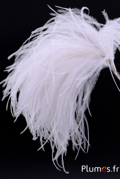 Plumet autruche - largeur 10-12 cm, hauteur 25 cm - blanc
